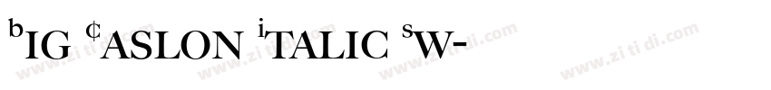 Big Caslon Italic Sw字体转换 Big Caslon Italic Sw字体转换